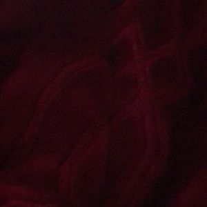 Meet your Posher, Lynn